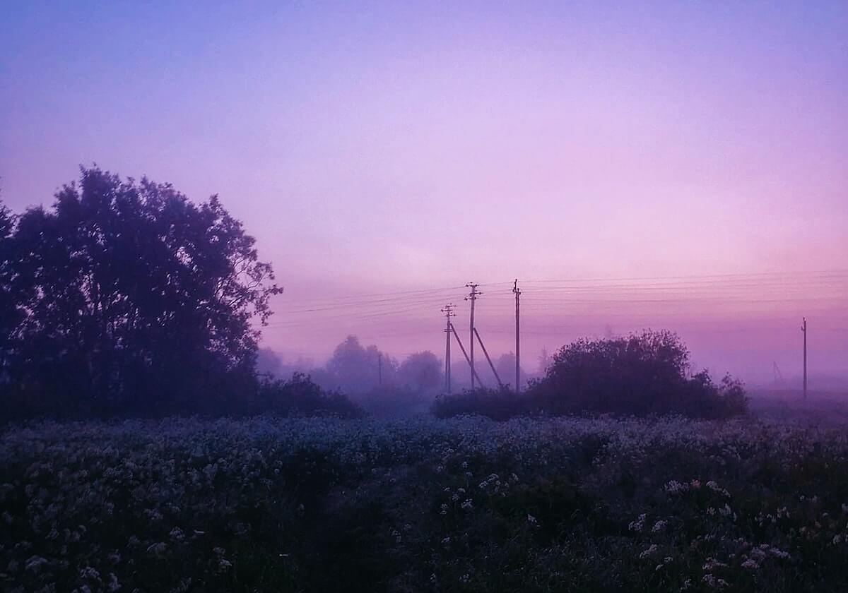 mksoprts-开云下载：云端驱动的下载新纪元